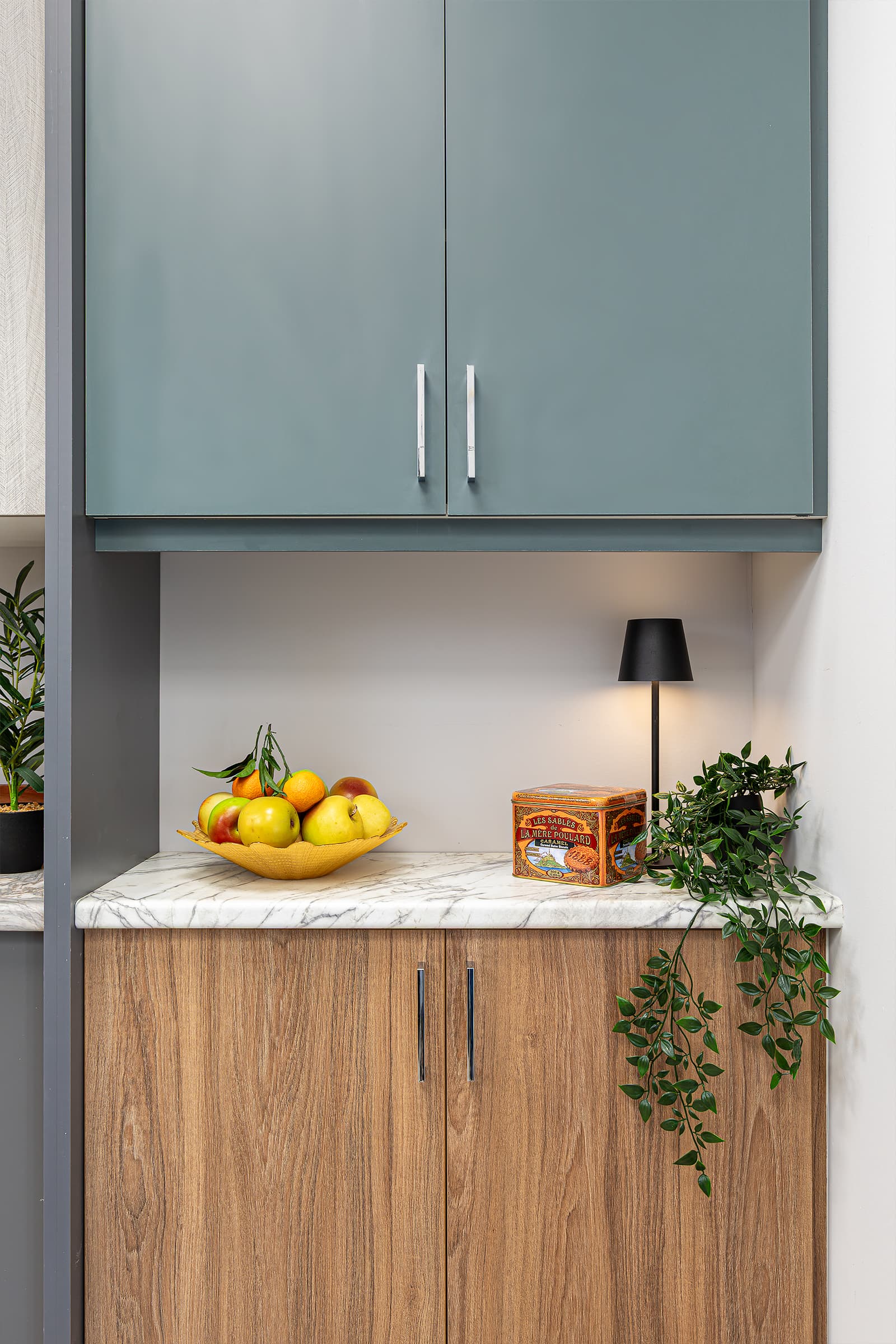 cabinet door and countertop display fruit bowl, lamp, plants